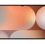 Samsung Galaxy Tab S10 Ultra Wi-Fi 36,99 cm (14,6 Zoll) Platinum Silver