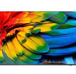 Philips MediaSuite 50HFL6214U/12 	Professional TV 126 cm (50")