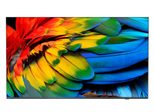 Philips MediaSuite 75HFL6214U/12 Professional TV 189 cm (75")