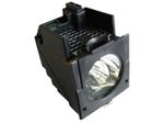 Beamerlampe für BARCO (ersetzt: R9842807)