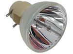 Beamerlampe (nur Leuchtmittel) für VIVITEK (ersetzt: XX5050000500)