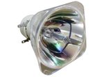 Beamerlampe (nur Leuchtmittel) für ACER (ersetzt: MC.JM411.006, MC.JM411.007)