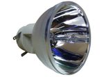 Beamerlampe (nur Leuchtmittel) für BENQ (ersetzt: 5J.JMM05.001)