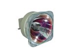 Beamerlampe (nur Leuchtmittel) für Viewsonic (ersetzt: RLC-076)