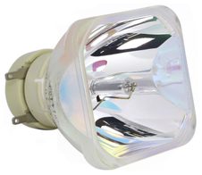 Beamerlampe (nur Leuchtmittel) für TEQ (ersetzt: TEQ-LAMP1)