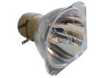Beamerlampe (nur Leuchtmittel) für VIVITEK (ersetzt: 5811100038)
