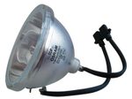 Beamerlampe (nur Leuchtmittel) für PELCO (ersetzt: LAMP#1987)