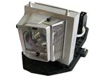OPTOMA SP.8PJ01GC01 BL-FU190A Beamerlampe Originalmodul
