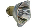 Beamerlampe (nur Leuchtmittel) für PHILIPS (ersetzt: SCREENEO 2.0 LAMP)