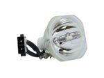 Beamerlampe (nur Leuchtmittel) für TOSHIBA (ersetzt: TLPLW9)