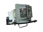 Beamerlampe für ACER (ersetzt: EC.J3001.001)