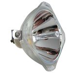 Beamerlampe (nur Leuchtmittel) für JVC (ersetzt: PK-CL120E, PK-CL120EAA, PK-CL120U, PK-CL120UAA)