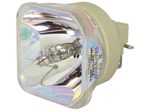 Beamerlampe (nur Leuchtmittel) für NEC (ersetzt: NP44LP)