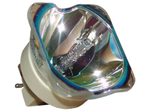 Beamerlampe (nur Leuchtmittel) für HITACHI (ersetzt: DT01291, CPWX8255LAMP)