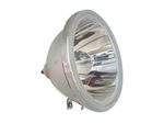 Beamerlampe (nur Leuchtmittel) für PANASONIC (ersetzt: TY-LA2005)