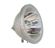 Beamerlampe (nur Leuchtmittel) für PANASONIC (ersetzt: TY-LA2005)