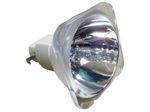 Beamerlampe (nur Leuchtmittel) für TAXAN (ersetzt: KG-LPS1230)