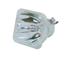 Beamerlampe (nur Leuchtmittel) für PROMETHEAN (ersetzt: PRM30-LAMP)