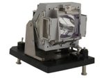 Beamerlampe für DIGITAL PROJECTION (ersetzt: 116-380)