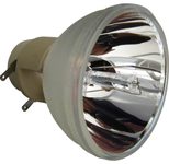 Beamerlampe (nur Leuchtmittel) für BENQ (ersetzt: 5J.JD305.001)