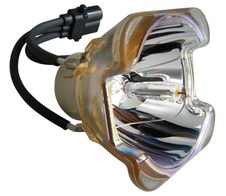 Beamerlampe (nur Leuchtmittel) für TOSHIBA (ersetzt: TLPLW23)