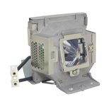 Beamerlampe für ACER (ersetzt: EC.K0600.001)