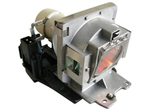Beamerlampe für INFOCUS (ersetzt: SP-LAMP-040)