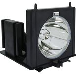 Beamerlampe für PELCO (ersetzt: LAMP#1987)