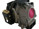 NEC NP02LP, 50031755 Beamerlampe Originalmodul