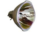 Beamerlampe (nur Leuchtmittel) für HITACHI (ersetzt: DT01581)
