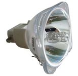 Beamerlampe (nur Leuchtmittel) für ACER (ersetzt: EC.J6000.001)