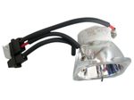 Beamerlampe (nur Leuchtmittel) für ACER (ersetzt: 57.J450K.001, EC.J4501.001)
