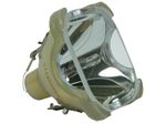 Beamerlampe (nur Leuchtmittel) für SONY (ersetzt: LMP-H210)