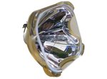 Beamerlampe (nur Leuchtmittel) für SONY (ersetzt: LMP-H202)