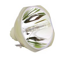 Beamerlampe (nur Leuchtmittel) für HITACHI (ersetzt: DT01911)
