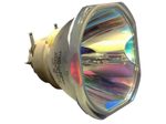 Beamerlampe (nur Leuchtmittel) für HITACHI (ersetzt: DT02081 DT02081M)