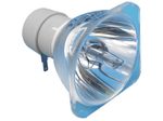 Beamerlampe (nur Leuchtmittel) für HITACHI (ersetzt: DT01463)