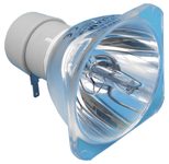 Beamerlampe (nur Leuchtmittel) für SANYO (ersetzt: POA-LMP118, 610-337-1764)