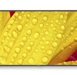 NEC MultiSync M431-2 Digital Signage Display 108 cm 43 Zoll