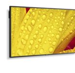NEC MultiSync M651-2 Digital Signage Display 163,9 cm 65 Zoll