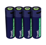 Trust Haushaltsbatterie Wiederaufladbarer Akku AA für USB-C