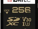 Emtec ECMSD256GXC10SP SD Speicherkarte 256 GB
