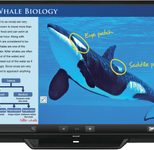 Sharp PN-80TC3 Digital Signage Touch Display 203 cm 80 Zoll