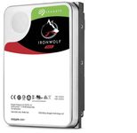 Seagate IronWolf SATA HDD 12 TB