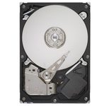 Seagate Pipeline HD ST3320311CS SATA Festplatte 320 GB