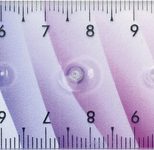 EBERHARD FABER Lineale Rainbow 15 Centimeter