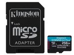 Kingston Canvas Go Plus Speicherkarte 256 GB, mit Adapter