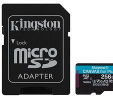 Kingston Canvas Go Plus Speicherkarte 256 GB, mit Adapter