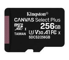 Kingston Canvas Select Plus Speicherkarte 256 GB