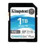Kingston Canvas Go Plus Speicherkarte 1 TB